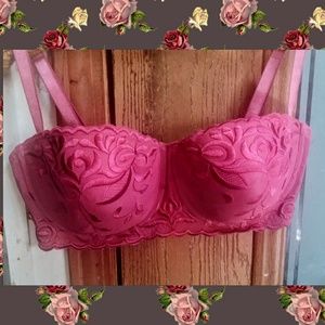Size 40D Bra